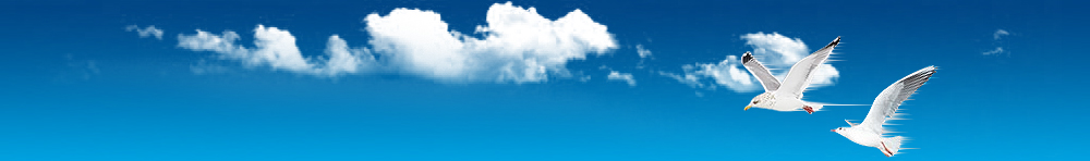 Bannersec